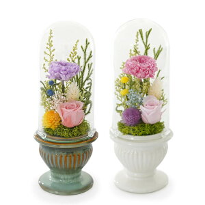 vU[uht[ vU@ (dȂ)   t[  P[X   V  ʖ ʎ @v   ފ r r