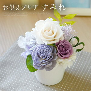 vU[uht[ vU@݂ (dȂ)   t[  P[X   V  ʖ ʎ @v    ފ ފ݋{ 