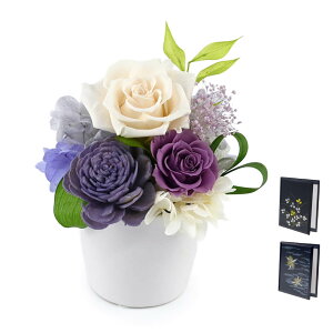 vU[uht[d vU@݂ dZbg   t[  P[X   d d bZ[W  V ʖ ʎ @v  