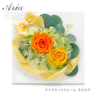 vU[uht[ AA vtbgt[ XNGA (dȂ)  j  o Mtg v[g  j a v[g ̓ 2025 ͏j ސEj 