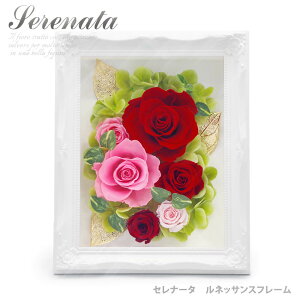 vU[uht[ Zi[^@lbTXt[ (dȂ)  j  o Ǌ| Mtg v[g  j a v[g ̓ 2025 ͏j ސE