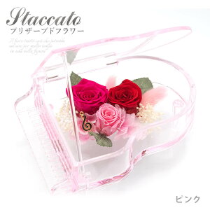 vU[uht[ X^bJ[g sN (dȂ)  j  sAm Mtg v[g \ t RT[g  j a v[g ̓ 2025 M J