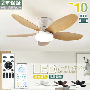 yX[p[SALE 55%OFFzy2Nۏ؁zV[Ot@Cg V[Ot@ LED R 6 8 10F Ɩ  Vv DC[^[ ʒ Cg VƖ r