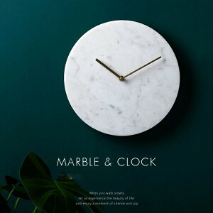 y嗝Ί|vz 嗝΂ |v  CeA Ƃ̕ǂɑ嗝΂  J[oG[V