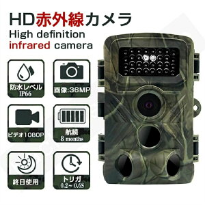 dt HDԊOJ hƃJ 3600f IP66h 1080PrfI ԑҋ@ ԍq ő8q h~ h ԊO鎋 鎋 nCrWY ԊO AEghAp A