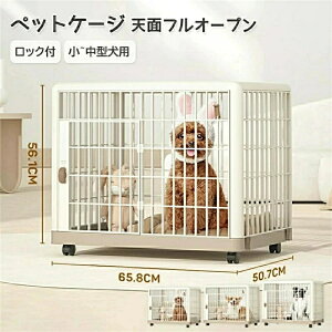  L ی Q[W T[N LX^[t pJo[t KтȂvX`bN bNXP[W  T[N ybgP[W