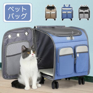 yX[p[SALE 55%OFFzybgL[ bN  ^ ^ L LX^[t L[  ybgL[obO J[g  ybgnEX ܂肽 3way bV  [h 