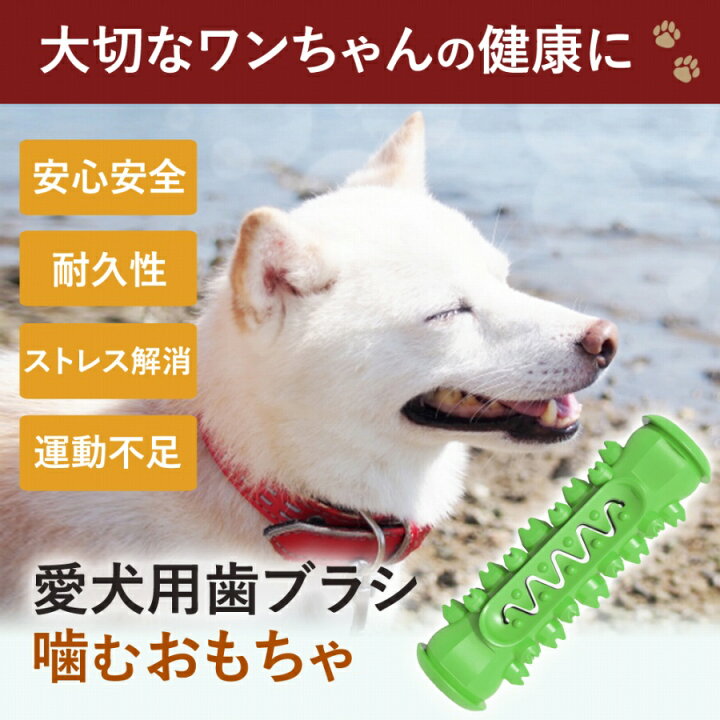 楽天市場 犬用おもちゃ 噛んで歯磨き 犬 ストレス解消 歯 ケア 健康 ペット ワンちゃん 安心 安全 愛犬 歯のクリーニング 耐久性 投げても遊べる 口臭予防 清潔 グリーン いぬ デンタルケア イヌ 歯磨き 歯みがき デンタルクリーニング 犬の口臭 エクスプレスジャパン