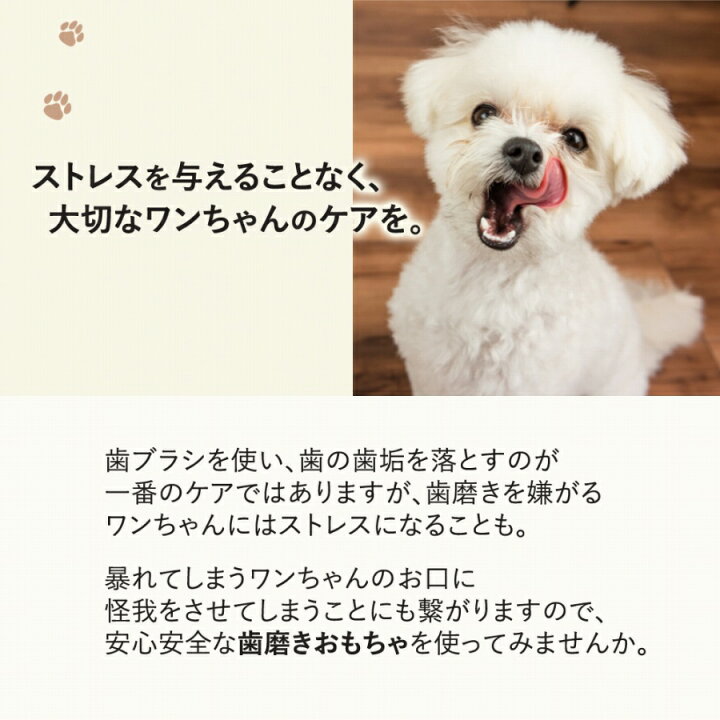 楽天市場 犬用おもちゃ 噛んで歯磨き 犬 ストレス解消 歯 ケア 健康 ペット ワンちゃん 安心 安全 愛犬 歯のクリーニング 耐久性 投げても遊べる 口臭予防 清潔 グリーン いぬ デンタルケア イヌ 歯磨き 歯みがき デンタルクリーニング 犬の口臭 エクスプレスジャパン 楽天市場 犬用おもちゃ 噛んで歯磨き 犬 ストレス解消 歯 ケア 健康 ペット ワンちゃん 安心 安全 愛犬 歯のクリーニング 耐久性 投げても遊べる 口臭予防 清潔 グリーン いぬ デンタルケア イヌ 歯磨き 歯みがき デンタルクリーニング 犬の口臭 エクスプレスジャパン