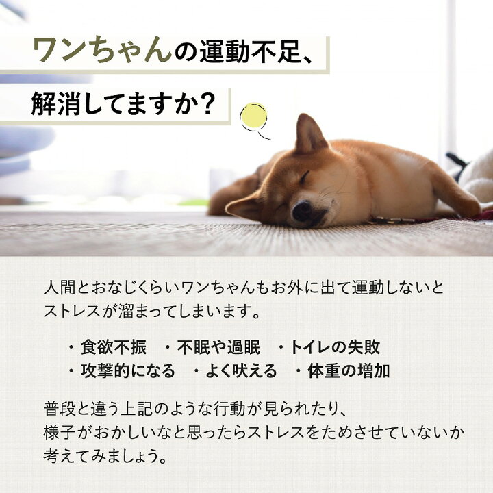 楽天市場】フリスビー 犬 水飲み 犬用 おもちゃ 投げる エサ入れ シリコン 柔らか素材 犬用フリスビー 運動 軽量 散歩 2サイズ 遊ぶ ペット 4色 歯の健康 かわいい 可愛い 健康 お散歩 休日 愛犬 遊べる 公園 ソフト 運動不足解消 ストレス発散 公園遊び : エクスプレス ... 楽天市場】フリスビー 犬 水飲み 犬用 おもちゃ 投げる エサ入れ シリコン 柔らか素材 犬用フリスビー 運動 軽量 散歩 2サイズ 遊ぶ ペット 4色 歯の健康 かわいい 可愛い 健康 お散歩 休日 愛犬 遊べる 公園 ソフト 運動不足解消 ストレス発散 公園遊び : エクスプレス ...