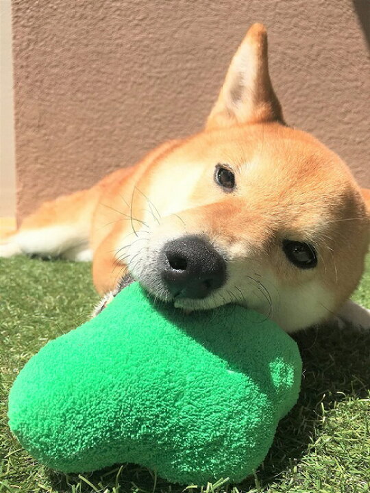 犬用おもちゃ たこ オクトパス ストレス解消 ペットトイ ワンちゃん 可愛い 噛むと音 犬のおもちゃ 赤 限定モデル 可愛い