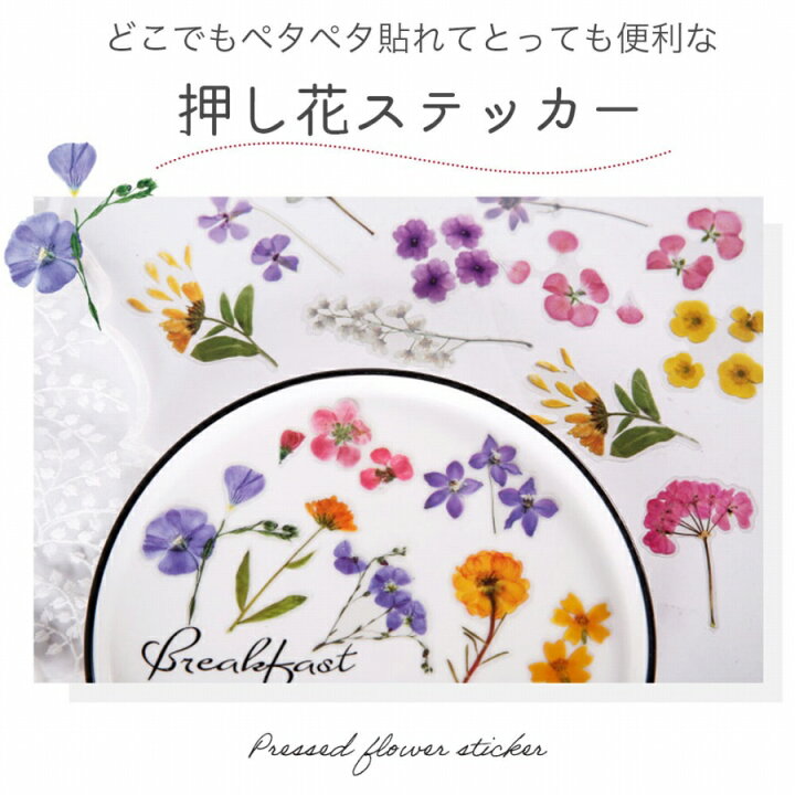 楽天市場 ステッカー 花 4色セット かわいい リアル シール ボタニカル ナチュラル デコレーション 手帳デコ スマホデコ オシャレ 日記 貼る デコ フラワー 可愛い メモ帳 使いやすい お得 メモ フラワーシール 花シール お花 フラワーステッカー エクスプレスジャパン