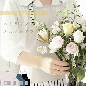 Gv Lb`pi jp fB[X Y {[_[S |Pbg TCY߉\ IV {^fUC Y 傫TCY  v[g Lb` d  w 