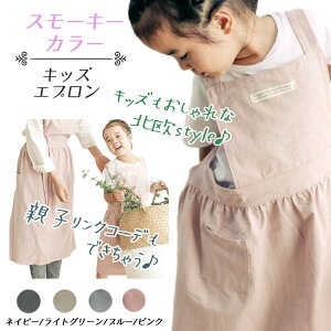 Gv LbYGv n k qǂ tA XJ[g  킢 Vv Rbg i` Gv yA eq v[gq g100`120 傫TCY 