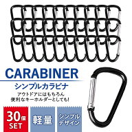 ＼全商品ポイント5倍／ カラビナ 大量 セット 大容量 お得 老若男女 ハンギングチェーン 30個 小さい コ…
