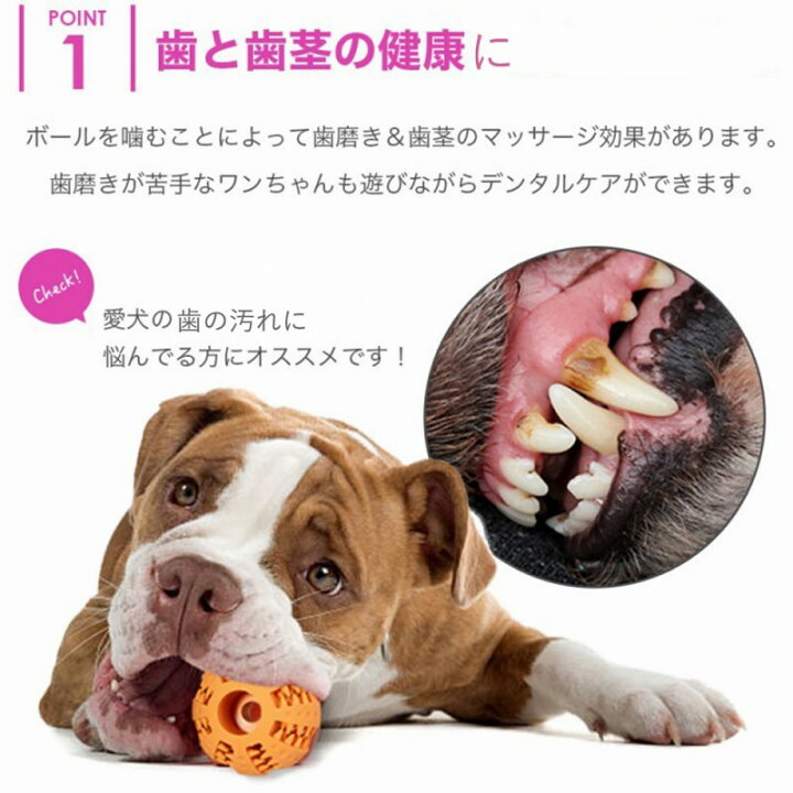 楽天市場 ペット おもちゃ ボール 玩具 ストレス発散 水洗いok ゴム 犬 噛む 歯磨き ドライフードを入れられる わんちゃん 喜ぶ おもちゃ おやつ 知育 ストレス解消 丈夫 ペット用品 犬 洗う 人気 壊れにくい 子供 楽しい おすすめ 喜ぶ 玩具 餌を詰められる 投げる イヌ