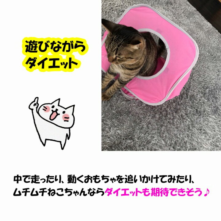 楽天市場 キャットハウス トンネル 猫 折り畳み ストレス発散 猫ハウス ねこ 遊べる 連結 コンパクト 持ち運び可能 ネコちゃん 喜ぶ おもちゃ 猫グッズ 人気 たためる 室内 屋外 おしゃれ 簡単 つなげる ネコ 楽しい 猫ハウス キャット 猫の家 屋内 室内 楽しむ おすすめ