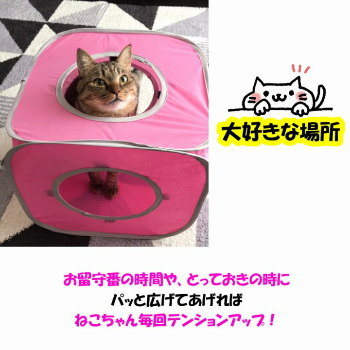 楽天市場 キャットハウス トンネル 猫 折り畳み ストレス発散 猫ハウス ねこ 遊べる 連結 コンパクト 持ち運び可能 ネコちゃん 喜ぶ おもちゃ 猫グッズ 人気 たためる 室内 屋外 おしゃれ 簡単 つなげる ネコ 楽しい 猫ハウス キャット 猫の家 屋内 室内 楽しむ おすすめ