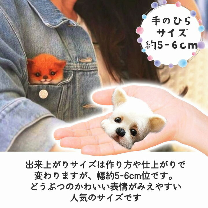 楽天市場 羊毛フェルト キット どうぶつ 6種類 セット 羊毛 フェルト ニードル ブローチ ハンドメイド おうち時間 ウール 手芸 きつね ネコ フェネック アライグマ イヌ 動物 集中 ストレス解消 癒し 贈り物 ギフト エクスプレスジャパン