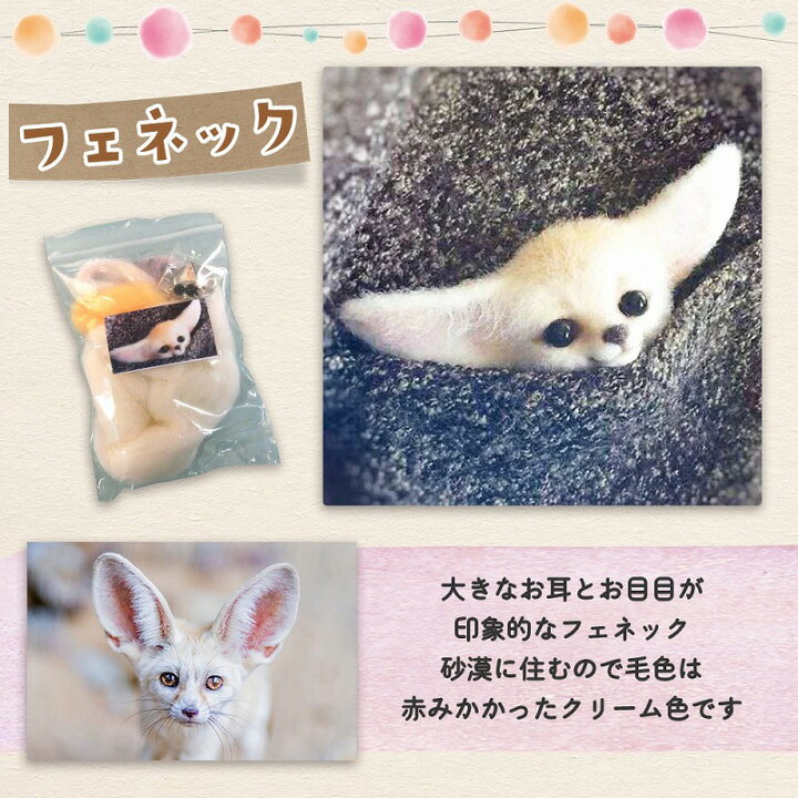 フェネック様ブラックe翌日 フェネック様ブラックe翌日