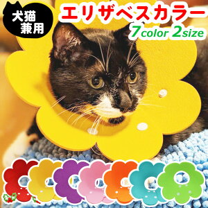 GUxXJ[ \tgtFg y L  ybg _炩 p Dp p PA ybgpi    r h~ S M {^ TCY   t[ y y LO