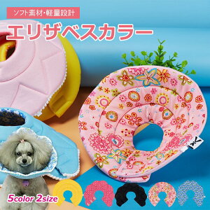 GUxXJ[ NbV^Cv ʃt@Xi[  ԕ y L  ybg _炩 p PA ybgpi    r h~ S M TCY  \tg z LObY Ob