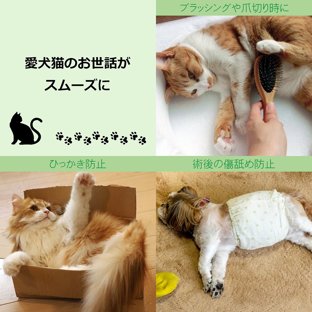 エリザベスカラー 猫 犬 ペット 傷舐め防止 引っ掻き防止 ペット用品 M
