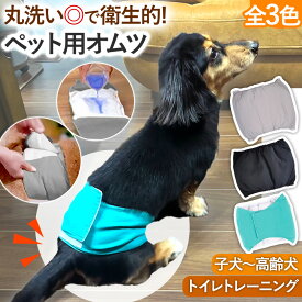 ＼全商品ポイント5倍／ ペット おむつ マナーベルト 4サイズ 洗える かわい 洗濯 ペット 小型犬 中型犬 大型犬 子犬 高齢 しつけ 介護 マナーパンツ おしっこ ドッグラン ドッグウェア