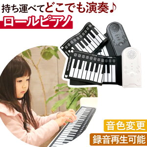 _Si|Cg5{^ [sAm sAm  q l 49 Xs[J[ dqsAm }bg Cz K y USB [d dr y RpNg lC v[g