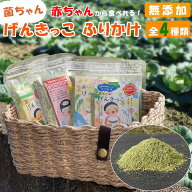 ふりかけ 菌ちゃんげんきっこ 菌ちゃん 元気っこ 無添加 栄養 菌ちゃんファーム 腸活 野菜 子供 無添加 …