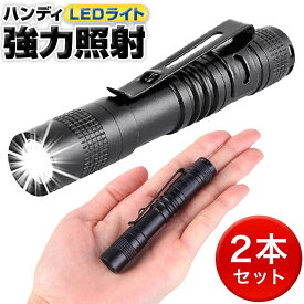 ハンディ LEDライト ペンライト 2個セット フィンガー スティック 懐中電灯 小型 強力 電池 防水 アウトドア 携帯 防災グッズ 作業 非常灯 昼光色