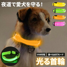 ＼今だけポイント10倍／ 光る首輪 犬 首輪 光る LED 犬用 猫用 ペット 夜間 散歩 事故防止 安全対策 視認性 おしゃれ かわいい かっこいい 小型犬 中型犬 大型犬 カラーバリエーション 新商品