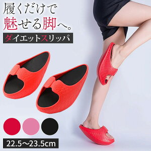 _|Cg10{^ _CGbgXbp r VFCvAbv ނ݉ ̊g[jO p K g _CGbgT_ Xbp  NT_ oX V