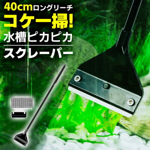 _|Cg10{^  XN[p[ KX| RP N[i[ @\Zbg Lk nht ւwbht p |c[  ێ ANAE | 