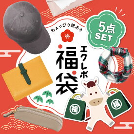 福袋 レディース 2025 訳あり メンズ 秋 秋冬 夏 雑貨 カードケース バッグ スカーフ ポーチ キーホルダー ギフト マルチケース ハッピーバッグ 30代 40代 50代 大きいサイズ セット 詰め合わせ