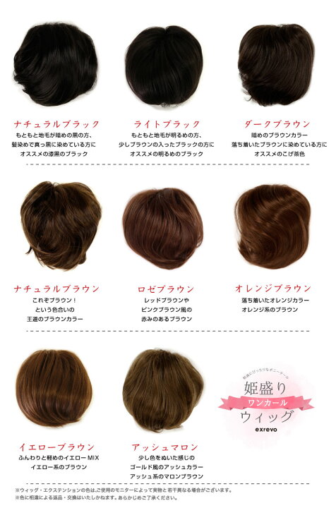 楽天市場 ウィッグ ポニーテール 和装 シニヨン ヘアピース つけ毛 付け毛 かつら 送料無料 お団子 着物 髪型 留袖 姫盛 ウィッグ ワンカール シニヨン 和装 ウィック お祭り 浴衣 髪型 着物 結婚式 ヘアスタイル アップスタイル お団子 エクレボ 楽天市場店