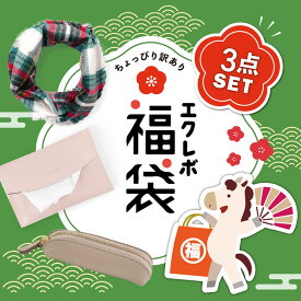 福袋 レディース 2026 雑貨 福袋 訳あり おすすめ メンズ 秋冬 レディース福袋 福袋 売れ残り セール 在庫処分 財布 ポーチ ストール もったいない 福袋 ラッキーバッグ ハッピーバッグ 30代 40代 50代 セット 詰め合わせ お楽しみ袋