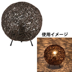 Ɩ e[uv TT-WN10CW e[uX^hydʔz OHMiI[d@j