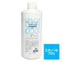 【4月20日ごろ出荷予定・おひとり様1本限り】ハンドクリン70 手指洗浄液（アルコール消毒）_株式会社カレン