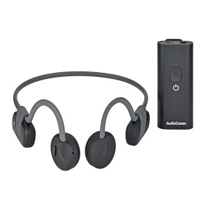 `Cz{WiBluetooth/USB[d/ی쓙IPX6j_03-1700_HP-BC500N_OHMiI[d@j