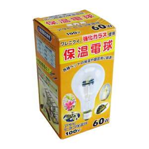 y[J[񂹔[2TԁzATq qRۉ 100V 60W_04-1331_15110_d@H