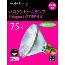 楽天市場】クールビーム散光形 75w形の通販