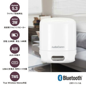 CXEhXs[J[yEdቹziBluetooth/USB-C[d/AUX IN[q/zCgj_03-2386_ASP-W125N-W_OHMiI[d@j