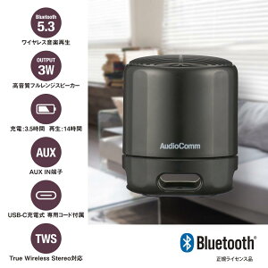 CXEhXs[J[yEdቹziBluetooth/USB-C[d/AUX IN[q/ubNj_03-2387_ASP-W125N-K_OHMiI[d@j