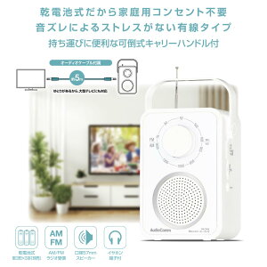 ƃXs[J[WIiAMEFMEChFM/I[fBIP[u5mt/P3×3{gp/zCgj_03-7058_RAD-T280N_OHMiI[d@j