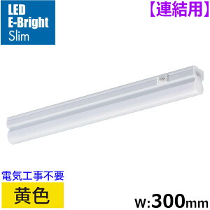 ApLEDC[uCgX Cgo[ 300mm FbLT-FLE300Y-HL 06-5117 I[d@