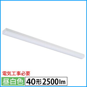LED�x�[�X���C�g�i�g���t�^/40�`/100-242V�d���Ή�/�����F/2500 lm/�d�C�H���K�v�j_06-4252_LT-BS4200C08N-N_OHM�i�I�[���d�@�j