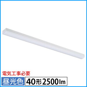 LED�x�[�X���C�g�i�g���t�^/40�`/100-242V�d���Ή�/�����F/2500 lm/�d�C�H���K�v�j_06-4253_LT-BS4200C08N-D_OHM�i�I�[���d�@�j