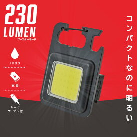 充電式COBライト（3段階調光/点滅機能/USB充電式/防水保護IPX3/カラビナ付）_08-1712_LH-C23A5_OHM（オーム電機）