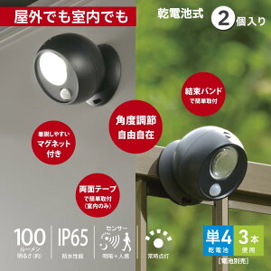 LED�Z���T�[�{�[�����C�g�i���Á{�l���Z���T�[/100 lm/�����F/�P4�`×3�{�g�p/IP65/�u���b�N/2���j_06-5269_LT-SOW10-K 2P_OHM�i�I�[���d�@�j